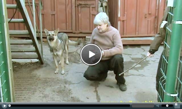 просмотреть видео о газовых баллончиках