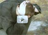Шанс-1 (24-02-2008)